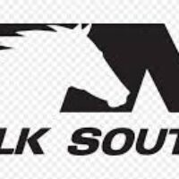 Norfolk Southern logo
