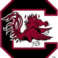 South Carolina logo
