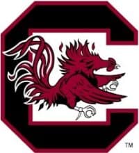 South Carolina logo