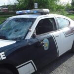 Pulaski PD cruiser strikes deer