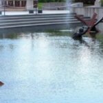 Virginia Preparing for 75th Anniversary of D-Day