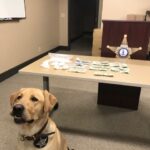 Traffic stop leads to K9 Zeus’s largest seizure of meth, cash