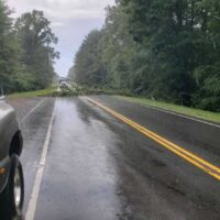 high winds in sylvatus