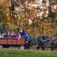 10-25 WRRM spirits wagon load 2015