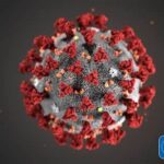 Coronavirus cases see largest 1-day jump so far in Virginia