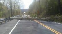 High Winds Bring Down Trees