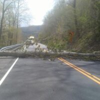 High Winds Bring Down Trees