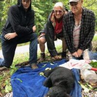 9-4 bear 2