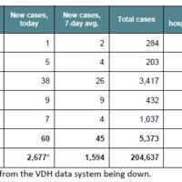 Today’s COVID-19 Stats from NRV Public Health Task Force