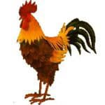 Obituary for Junior Matthew Wright