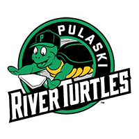 river turtle logo