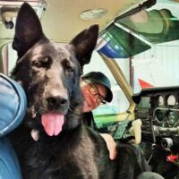 Zeus-Retirement