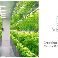 Vegg 1