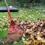 Leaf pickup in Dublin