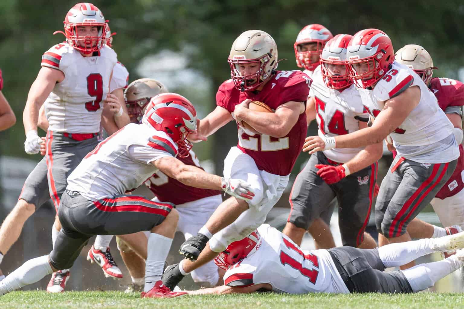 Pulaski vs Lord Botetourt ­ 226659 copy