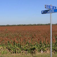 Bill to help Virginia farmers with drought insurance withers in committee