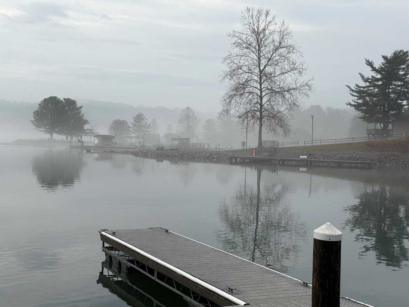 Claytor Lake debris removal complete, state park resumes normal operation 2 After