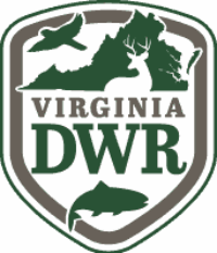 Get hooked during Free Fishing Days, June 6-8