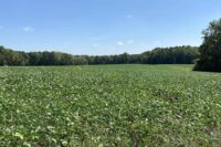 Virginia Land Conservation Foundation opens record $15.3 million grant round 