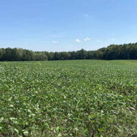Virginia Land Conservation Foundation opens record $15.3 million grant round 