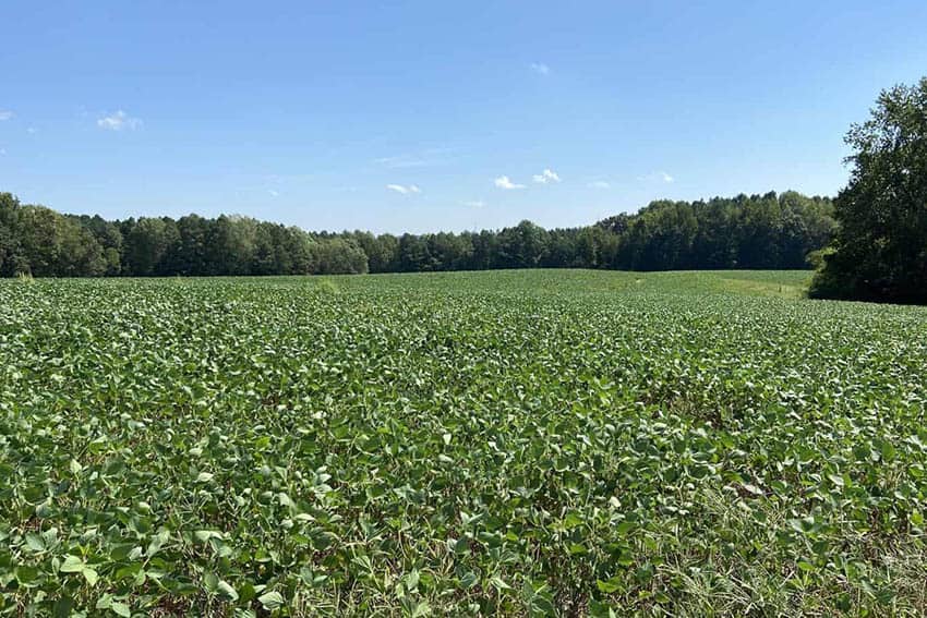 Virginia Land Conservation Foundation opens record $15.3 million grant round 1 land conservation