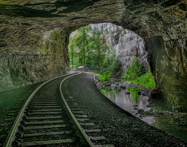 8 1 photo club NaturalTunnel