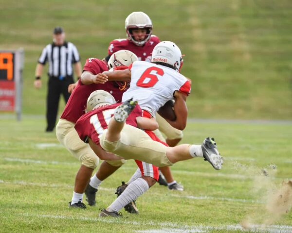 DSC 5909 1 1536x1229