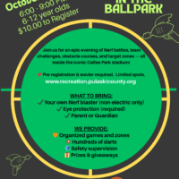 Pulaski County Parks and Recreation Announces First-Ever “Nerf Battle in the Ballpark” at Historic Calfee Park