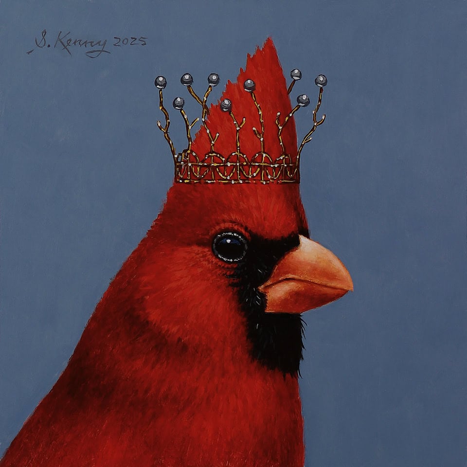 11 28 FAC Royal Cardinal by Steven Kenny