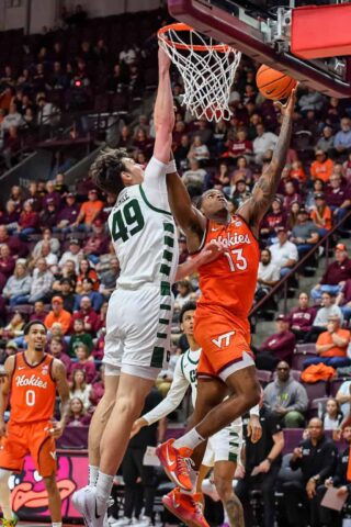 dll2511160009 char at vt 1025x1536