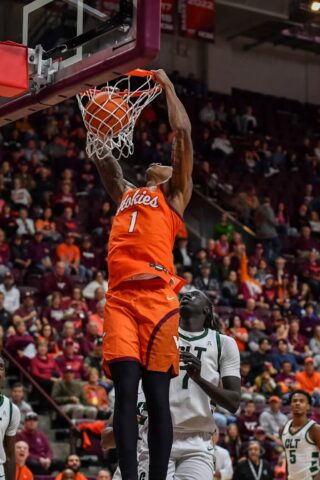 dll2511160018 char at vt 1025x1536