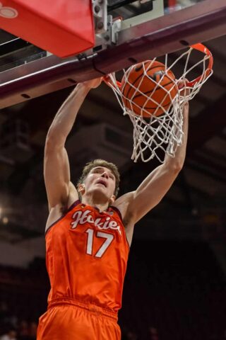 dll2511160033 char at vt 1023x1536