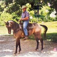 Sherman Ted Richardson 7 richardson sherman ted