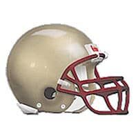 Cougar-helmet
