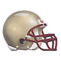Cougar helmet