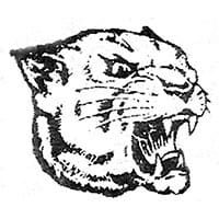 cougars-head