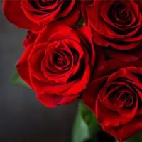 obit_placeholder_16