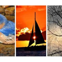 Glencoe Mansion Hosts Art Show by The Radford Photo Club