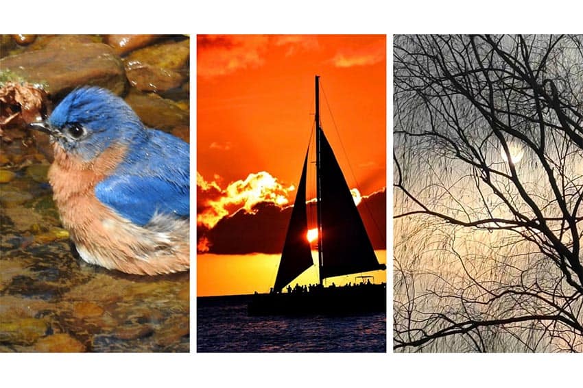 Newspaper Radford Photo Club