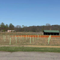 New River Conservancy Sponsors Tree Plantings in NRV