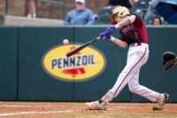 Pulaski Baseball