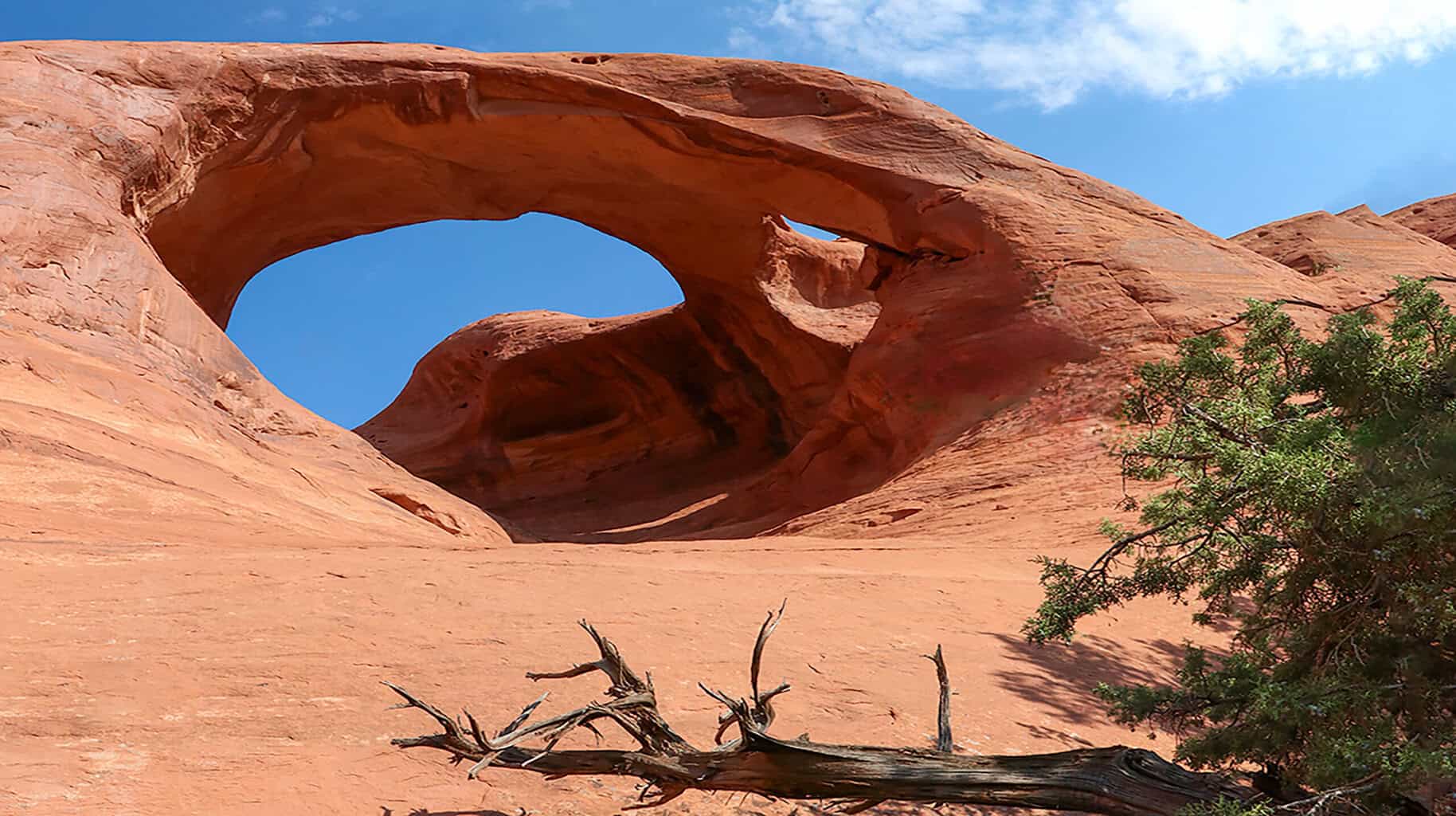 Fur, feathers, landscape subjects of winning photos 3 6 5 photo MonumentValleyArchNotter scaled