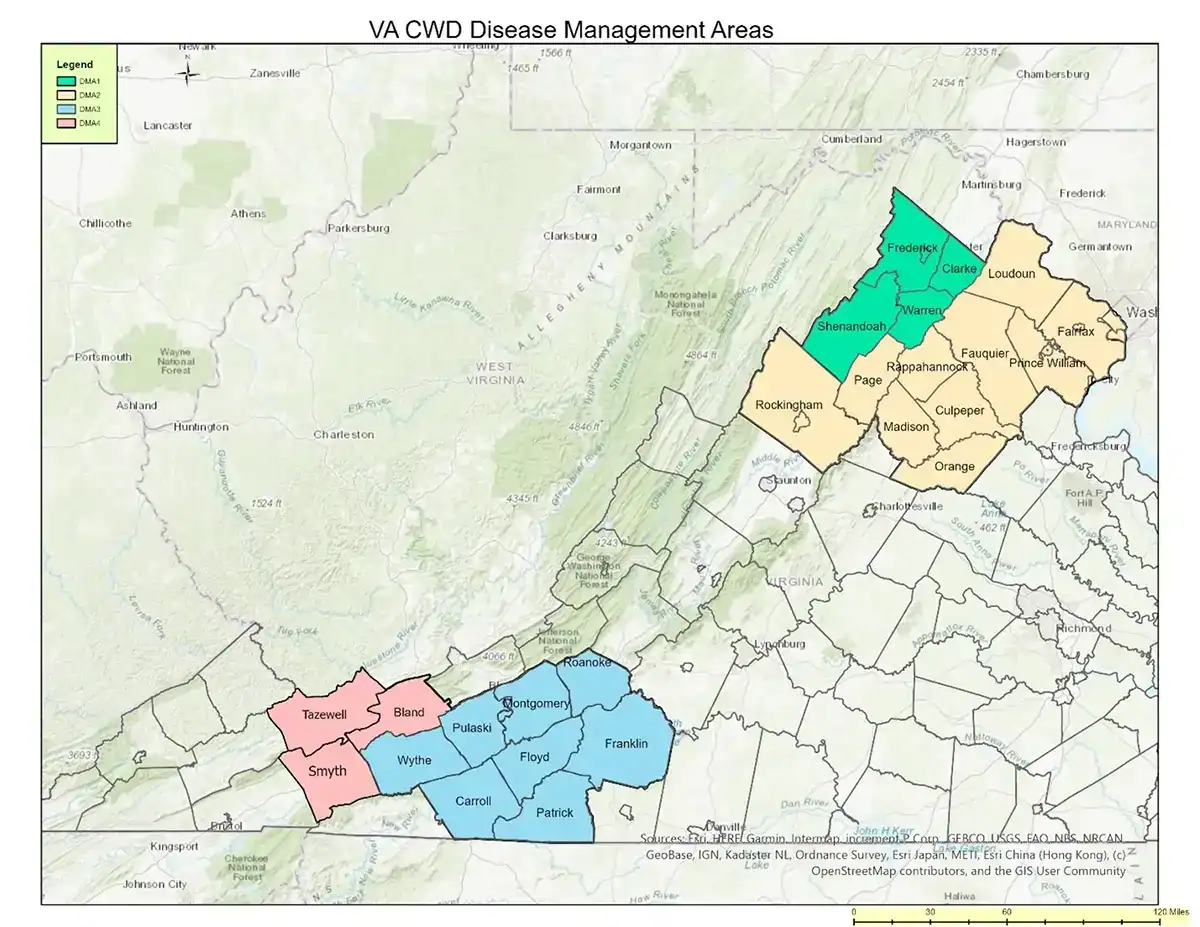 va chronic wasting disease