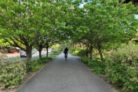 VDOT releases plan to advance system of connected multi-use trails