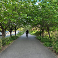 vdot-trails
