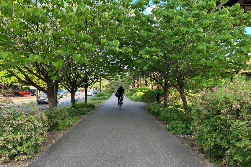 vdot trails