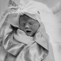 Bexley Vaughn