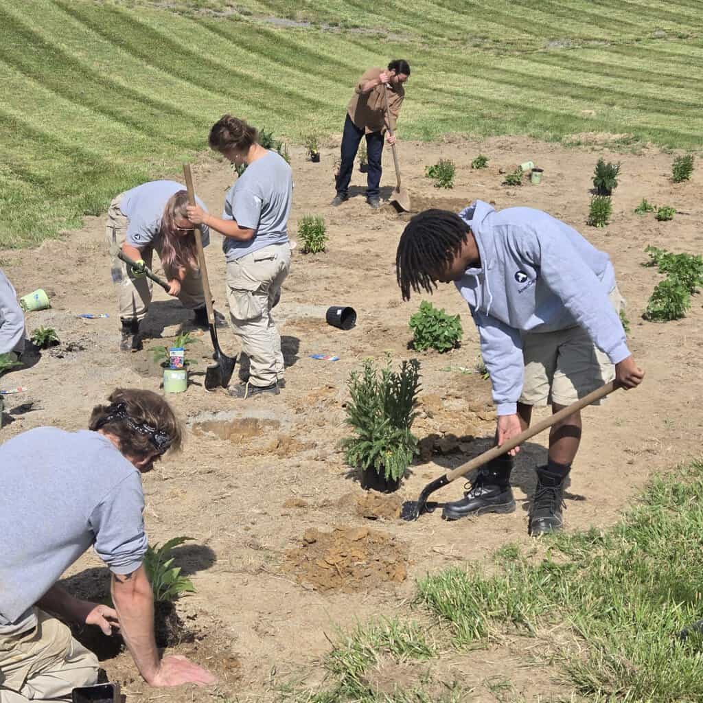 9 4 new river Rain garden scaled