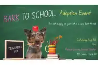 Bark-to-school-adoption