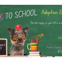 Bark-to-school-adoption